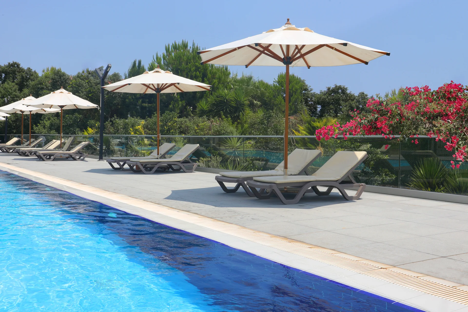 Outdoor pool and sun loungers at Abelia Residence